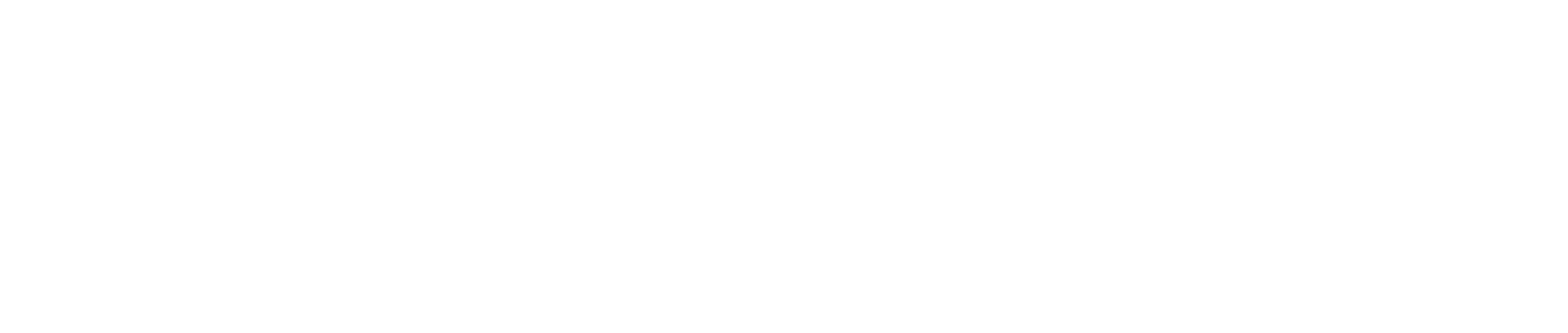 MEDICI Logo